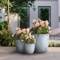 Ebern Designs 9.5", 12" , 17" High Crisp White Round Large Tall Outdoor / Indoor Concrete Succulent Planters Plant Pot
