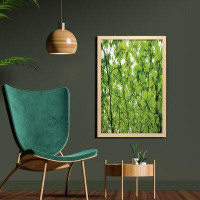 East Urban Home Ambesonne Leaves Wall Art With Frame, Close-Up Tree Leaves From An Uprising Angle High Plants Summer Fre