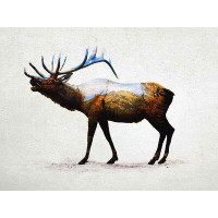 Made in Canada - Clicart Rocky Mountain Elk by Davies Babies - Print on Canvas
