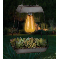 Regal Art & Gift Edison Succulent Solar Lantern - Pyramid