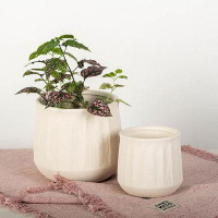 Winston Porter Set Of 2 Antique White With Rough Textured Vertical Lines Planters