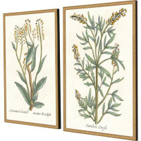 Paragon Botanical Plants III by Giclee Studio - 2 Piece Single Picture Frame Print Set