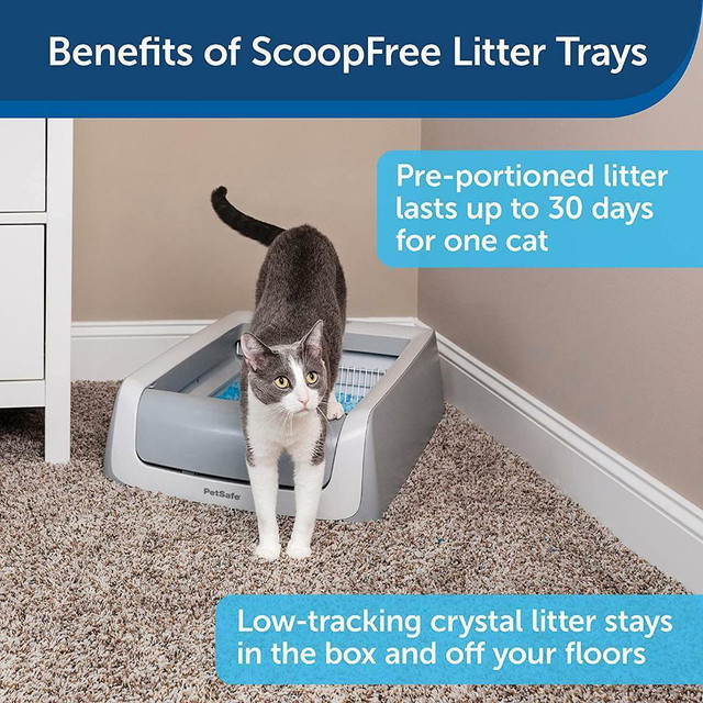 PetSafe ScoopFree Self-Cleaning Cat Litter Box Tray Refills with Premium Blue Non Clumping Crystal Litter/ FREE Delivery in Accessories - Image 3