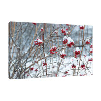 Jaxson Rea "Berries In Winter" Gallery Wrapped Canvas By Sue Schlabach