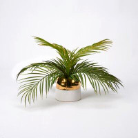 Primrue Hawaiian Palm In White & Gold Ceramic