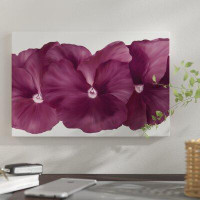 East Urban Home 'Violet Flower III' Graphic Art Print on Canvas