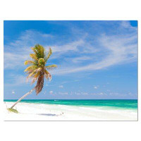 Design Art Solitary Coconut Palm at Beach - Wrapped Canvas Photograph Print