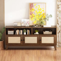 Millwood Pines TV Stand for Living Room