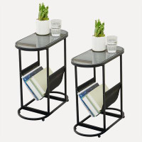 Ebern Designs Set Of Two Glass Top Oval End Table With Power Coating Frame With Perfect Storage Space