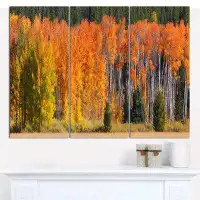 Made in Canada - Design Art 'Fall Trees Panorama' Photographic Print Multi-Piece Image on Canvas