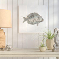 Made in Canada - Breakwater Bay 'Fish Sketches I Shiplap' Framed Drawing Print on Canvas
