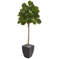 Primrue 71” Fiddle Leaf Fig Artificial Tree In Black Planter