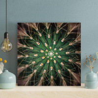 Foundry Select Cactus Plant Photography 3 - 1 Piece Square Graphic Art Print On Wrapped Canvas