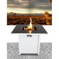 Latitude Run® Clarinda 25.08" H x 30.08" W Stainless Steel Propane/Natural Gas Outdoor Fire Pit Table