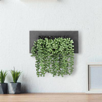 Primrue Wall Artificial String of Pearls Plant