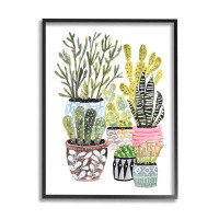Stupell Industries Various Cactus House Plants Giclee Art By Karen Fields