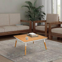 Mercer41 Paige 31 Inch Illusion Rectangular Wooden Coffee Table