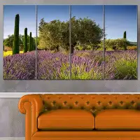 Design Art 'Beautiful Lavender and Olive Trees' 4 Piece Photographic Print on Wrapped Canvas Set