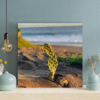 Foundry Select Selective Focus Photography Of Cactus Plant 1 - 1 Piece Square Graphic Art Print On Wrapped Canvas