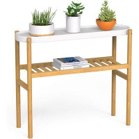 Latitude Run® Bamboo Shelf Indoor, 2 Tier Window Tall Stand Table for Multiple Plants