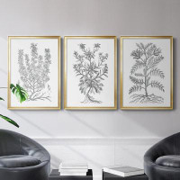 Wexford Home B&W Plant Specimen V Premium Framed Canvas - Ready To Hang
