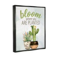 Stupell Industries Bloom Where You Are Planted Cactus Succulent Canvas Wall Art By Kim Allen