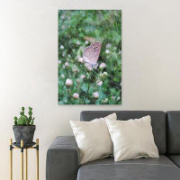 Gracie Oaks Brown And White Butterfly Perched On Green Plant During Daytime - 1 Piece Rectangle Graphic Art Print On Wra