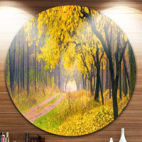 Made in Canada - Design Art 'Bright Yellow Autumn Forest' Photographic Print on Metal