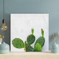 Foundry Select Green Cactus Plant On White Background 1 - Wrapped Canvas Painting