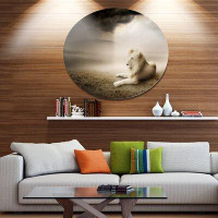 Made in Canada - Design Art 'King of Animals At Sunset' Graphic Art Print on Metal