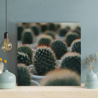 Foundry Select Black And White Cactus Plant - 1 Piece Square Graphic Art Print On Wrapped Canvas