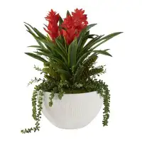 Primrue Red Gingers With Succulents In White Ceramic Bowl