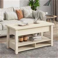 Latitude Run® Lift Top Multi-Functional Coffee Table with Open Shelves