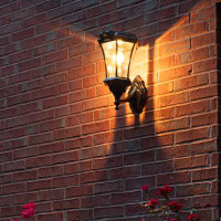 Canora Grey Dolins Aluminum 3in Fitter, Pier and Wall Solar Outdoor Light