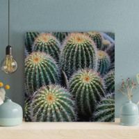 Foundry Select Green Cactus Plant During Daytime 35 - 1 Piece Square Graphic Art Print On Wrapped Canvas