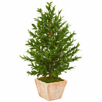 Fleur De Lis Living 35in. Olive Cone Topiary Artificial Tree in Terra Cotta Planter UV Resistant (Indoor/Outdoor)