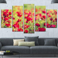 Design Art 'Beautiful Poppy Flowers Background' 5 Piece Photographic Print on Wrapped Canvas Set