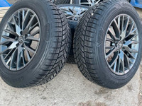 2022 Lexus rims and Goodyear UltraGrip winter Tires