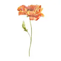 Wendover Art Group Tall Orange Flower 1