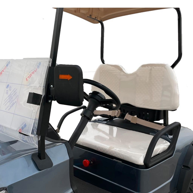 NEW 2 SEATER ELECTRIC GOLF CART 1DYG11 in Other in Alberta - Image 3