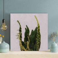 Foundry Select Cactus Plant 4 - 1 Piece Square Graphic Art Print On Wrapped Canvas