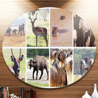 Design Art 'Rich African Wildlife Collage' Photographic Print on Metal
