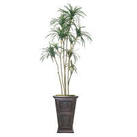 Vintage Home 93"H Vintage Real Touch Dragon Tree, Indoor/ Outdoor, In Pot With Rope Basket (38X38x74"H)