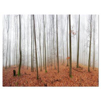 Design Art Fall Forest with Trees at Mist - Wrapped Canvas Photograph Print