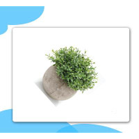 Primrue Mini Sage Green Potted Boxwood Topiary Artificial Plants For Home Decor Indoor