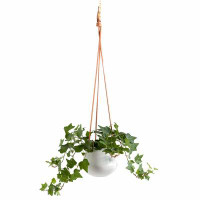 Ebern Designs Nonce Handmade Indoor Hanging Planter