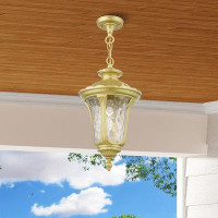 House of Hampton 1 Light Soft Gold Outdoor Medium Pendant Lantern