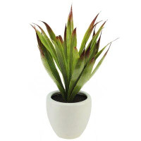 Northlight Seasonal 13.5" Potted Artificial Green and Red Agave Succulent Plant