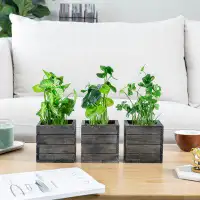 Primrue 3 Piece Artificial Herb Plants with Square Wood Box