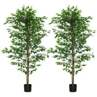Primrue 2 - Piece 70.9'' Artificial Ficus Plant in Pot Set
